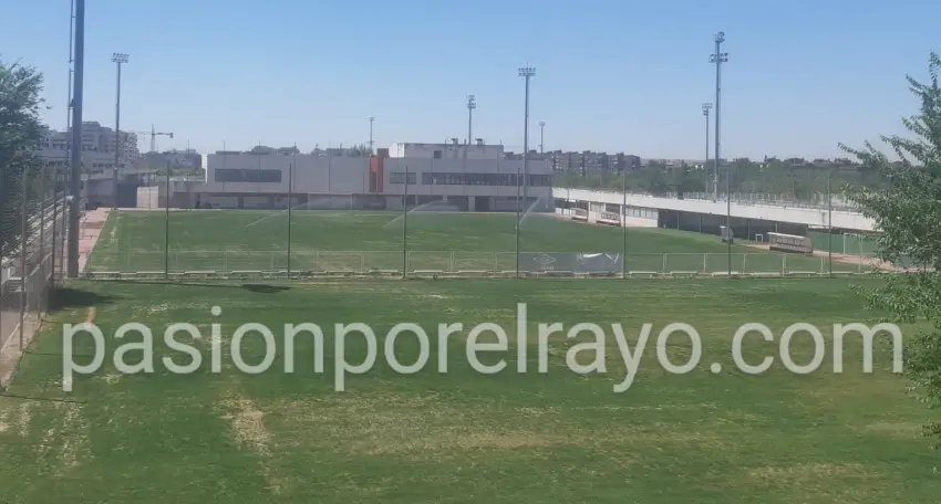 Estado actual del césped de la Ciudad Deportiva Rayo Vallecano