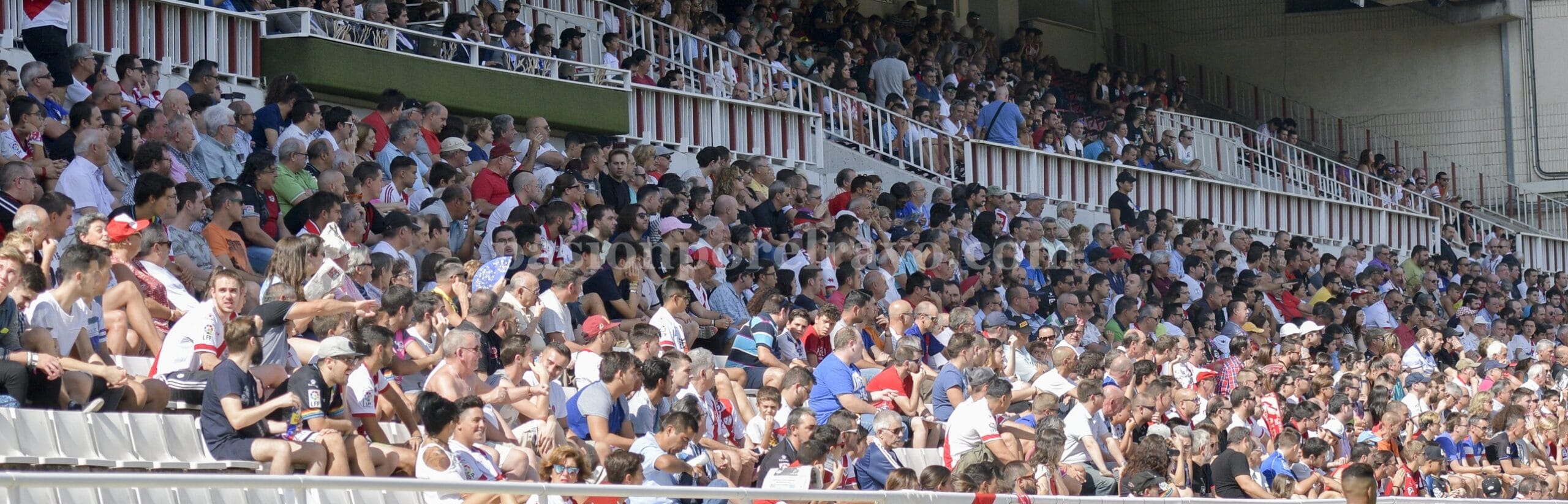 Nuevos perfiles para «Simpatizantes PxR»