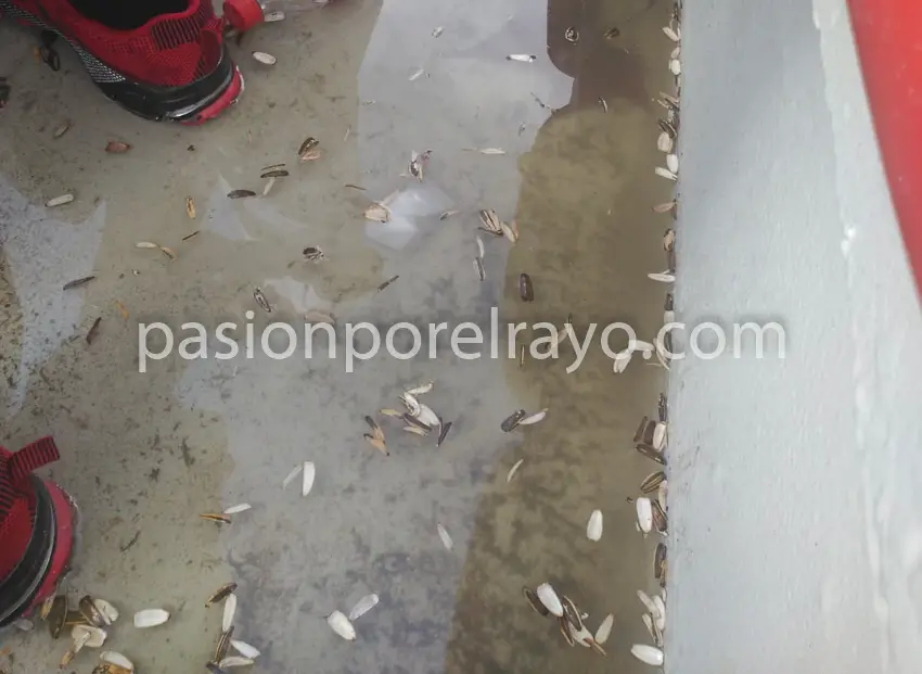 Aficionados del Rayo reclaman al club al no poder ocupar sus localidades