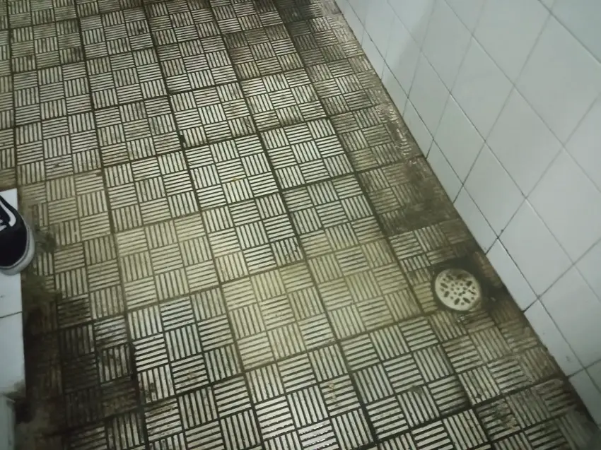 La afición del Rayo Vallecano denuncia insalubridad e inseguridad en el estadio de Vallecas