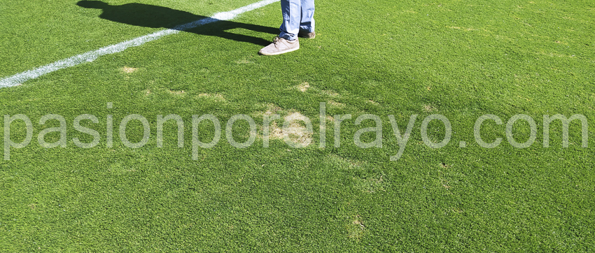 El césped, mejor... pero no perfecto 14 rayo vallecano cesped estadio