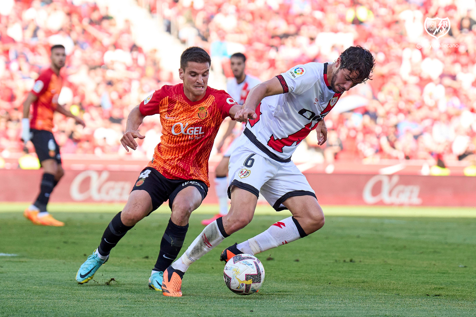 (c) Rayo Vallecano