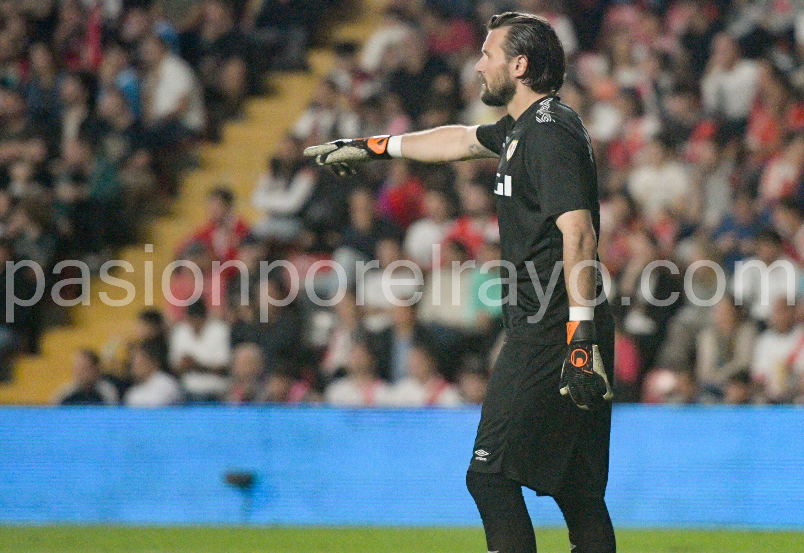 Dimitrievski4 scaled