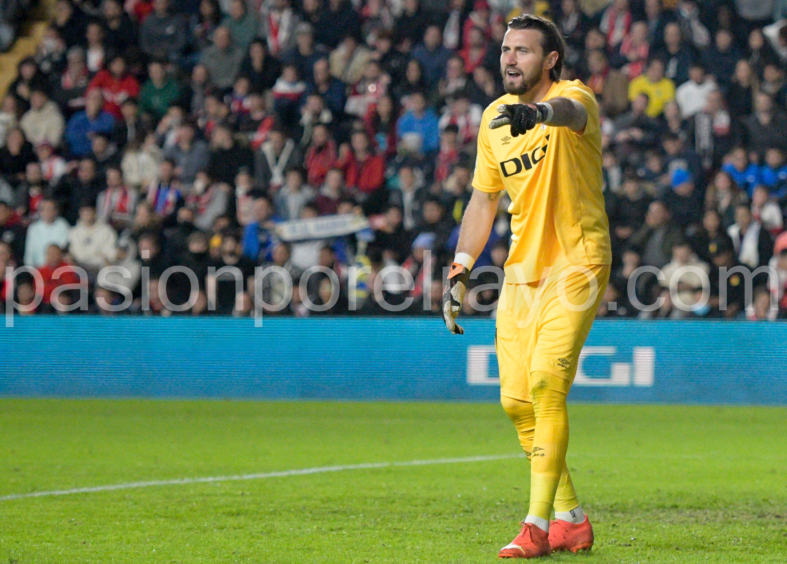 Dimitrievski5 scaled