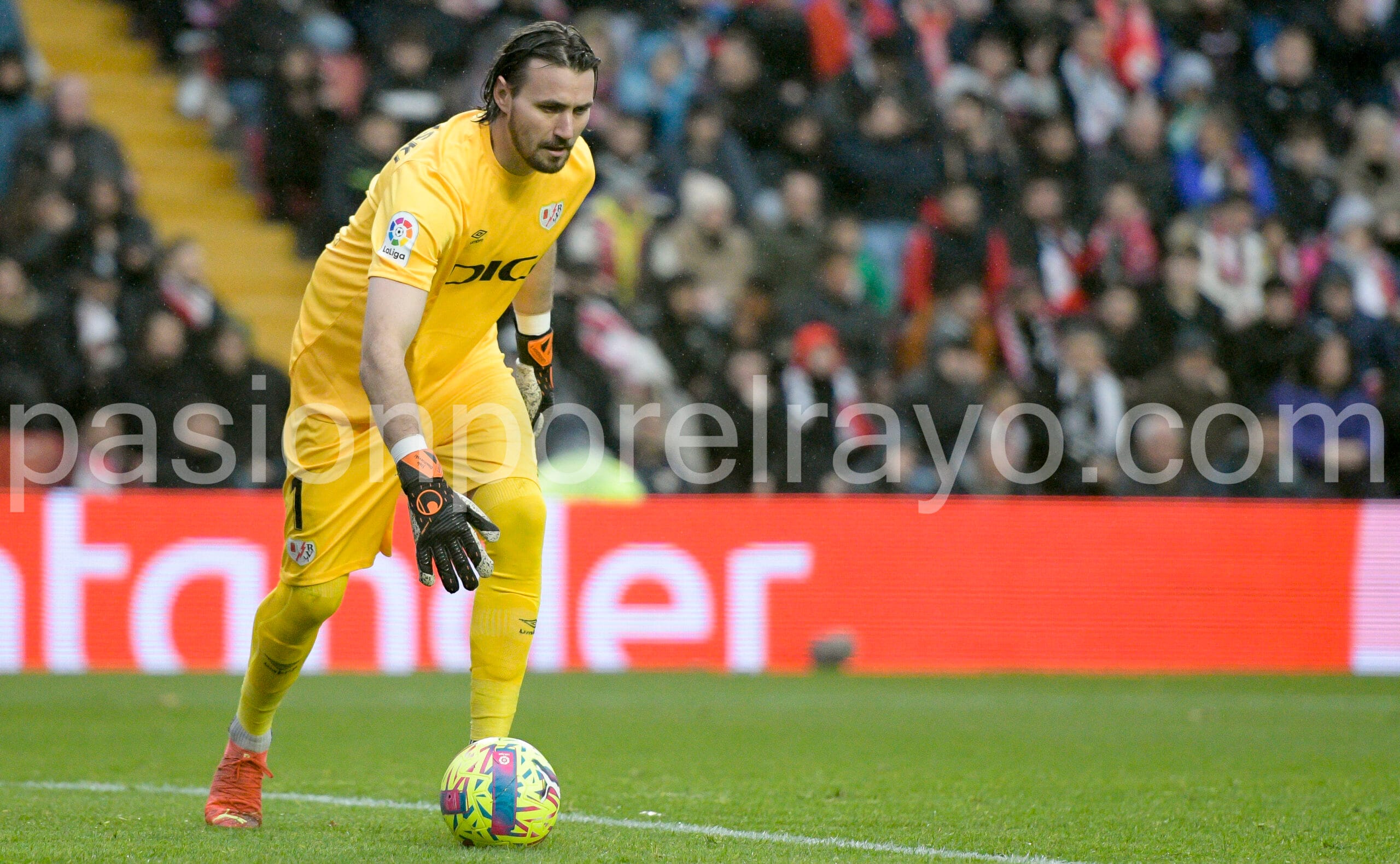 Dimitrievski7 scaled