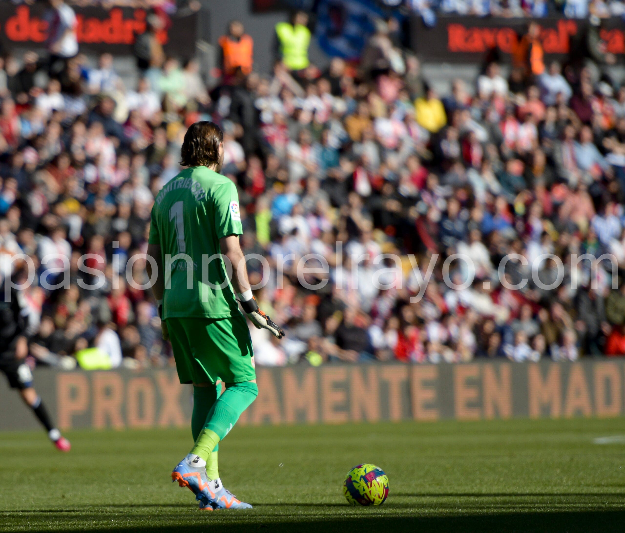 Dimitrievski9 scaled