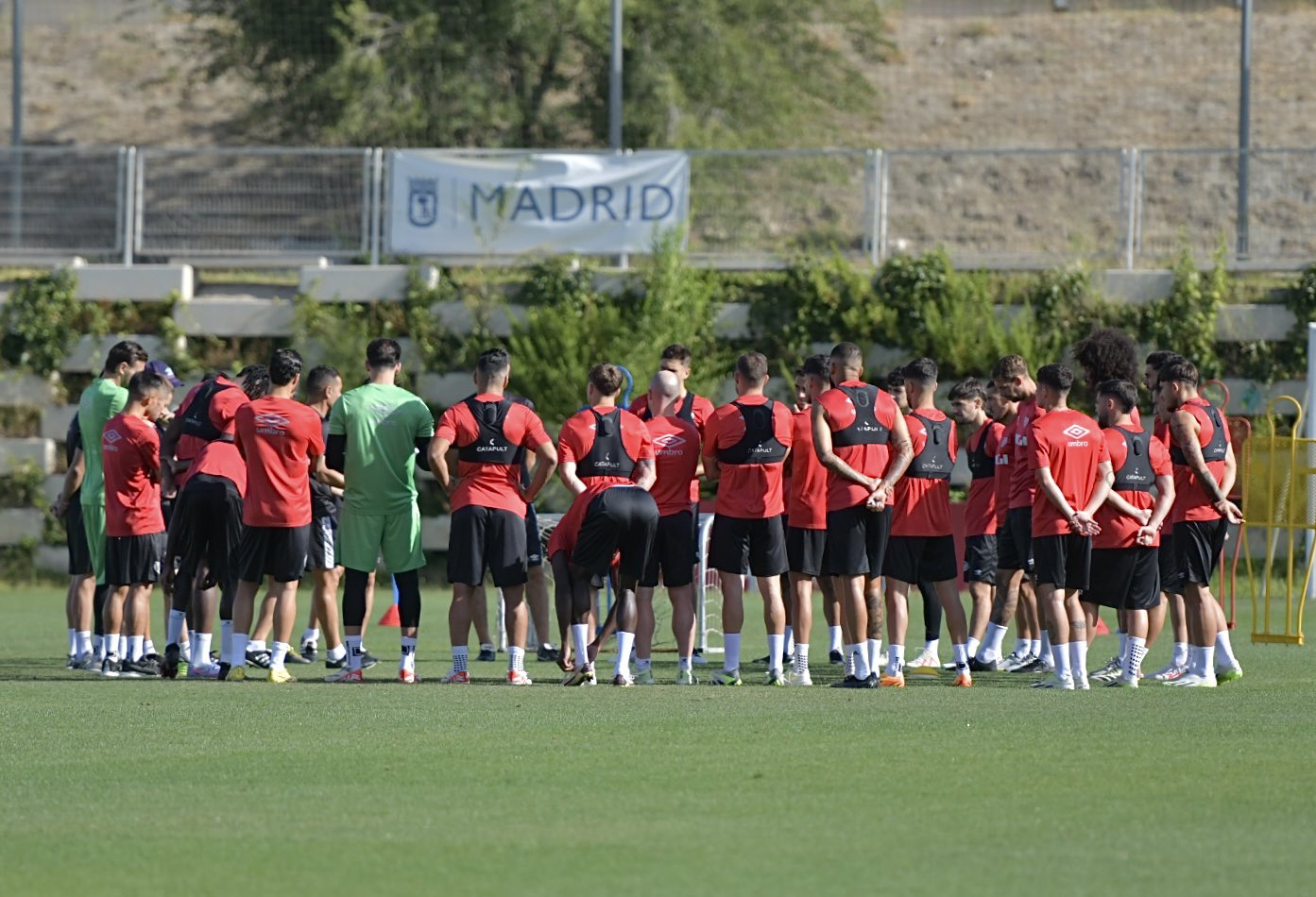 (c) Rayo Vallecano