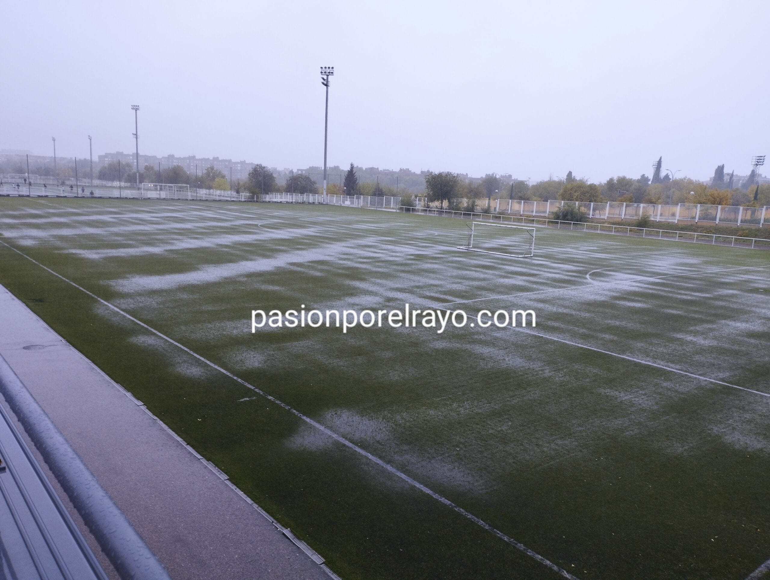 IMG 20231019 1150512 scaled