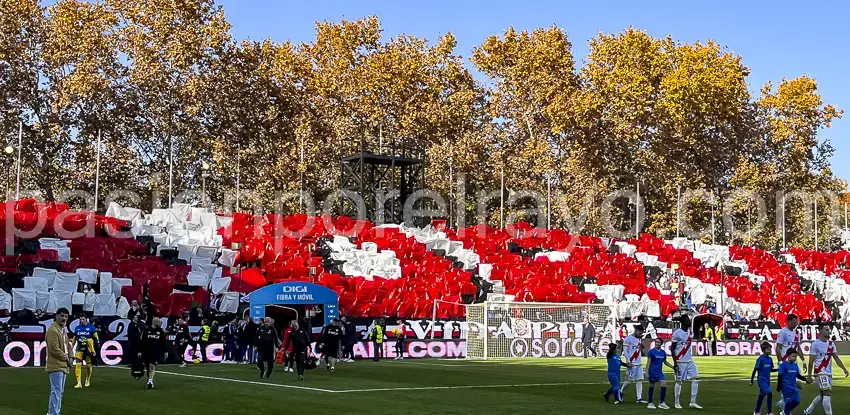 Pasión por el Rayo