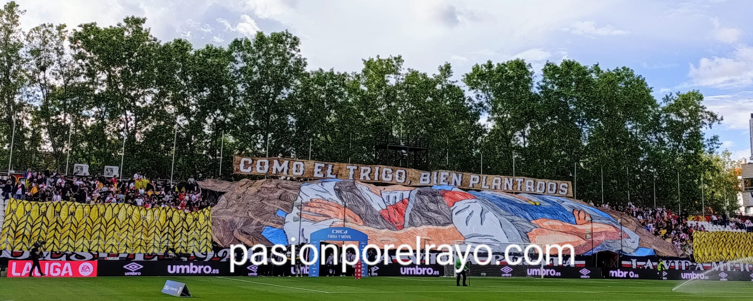 13480 espectadores en el Rayo Vallecano – Betis: la cuarta mejor entrada de la temporada