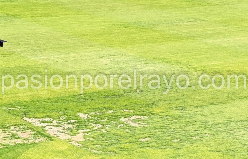Así está el césped y el resto del Estadio de Vallecas 4 estadio de vallecas cesped
