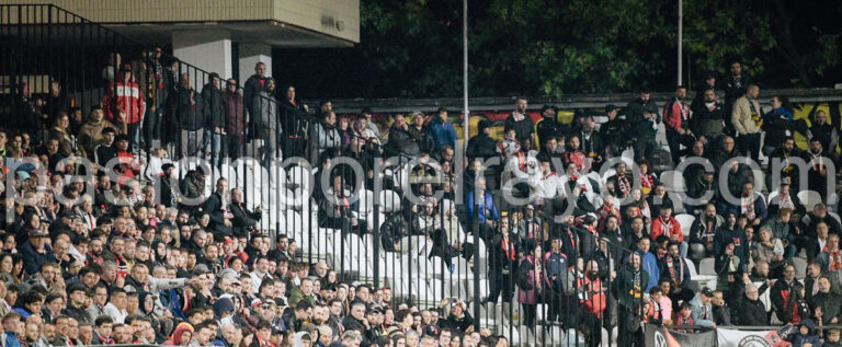 estadio de vallecas