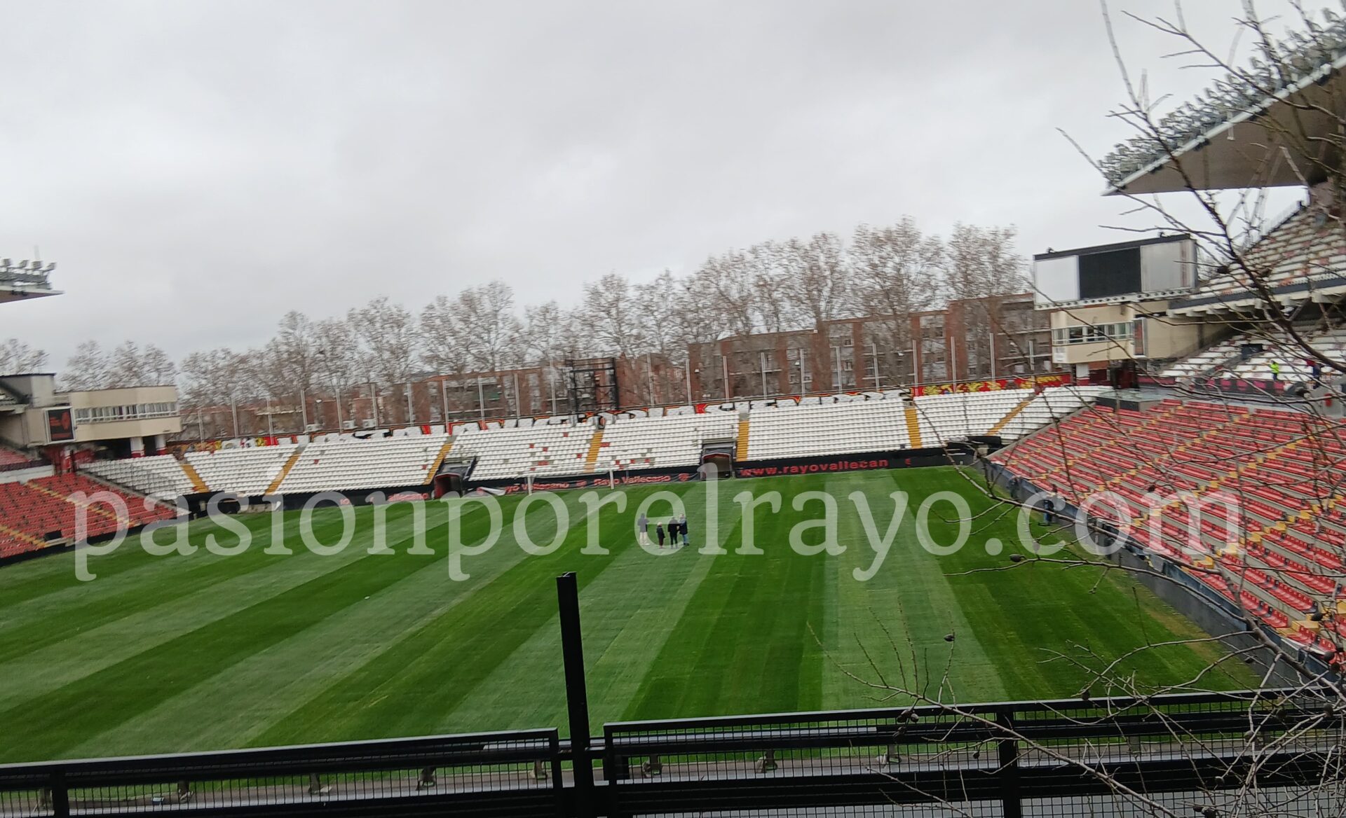 Césped del estadio de Vallecas