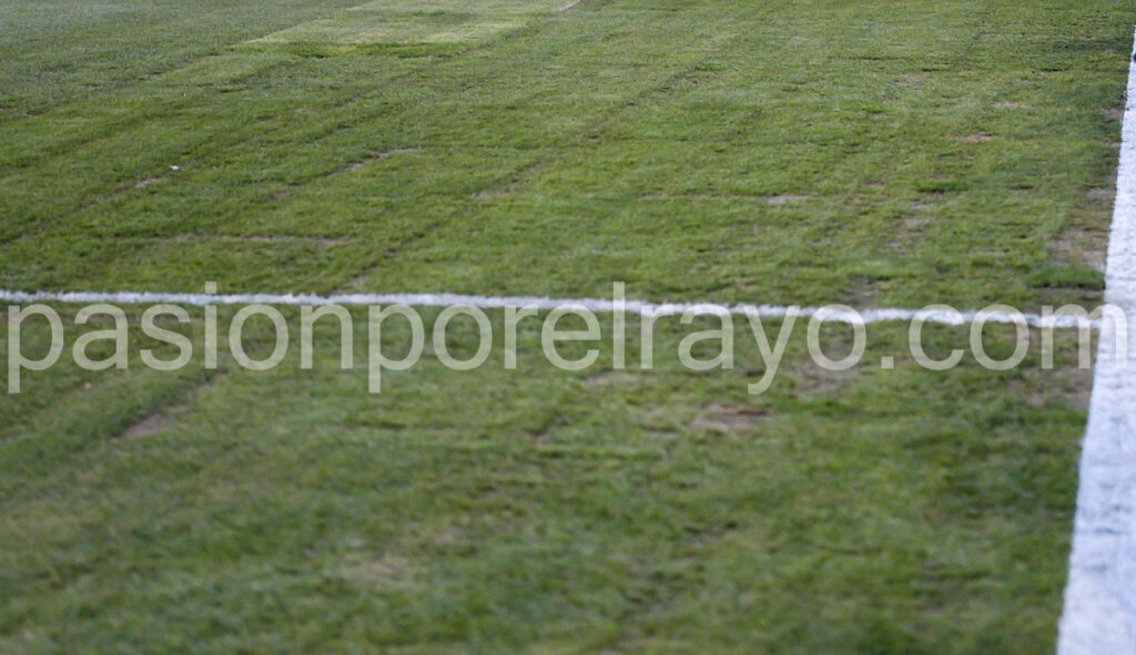 cesped estadio de vallecas