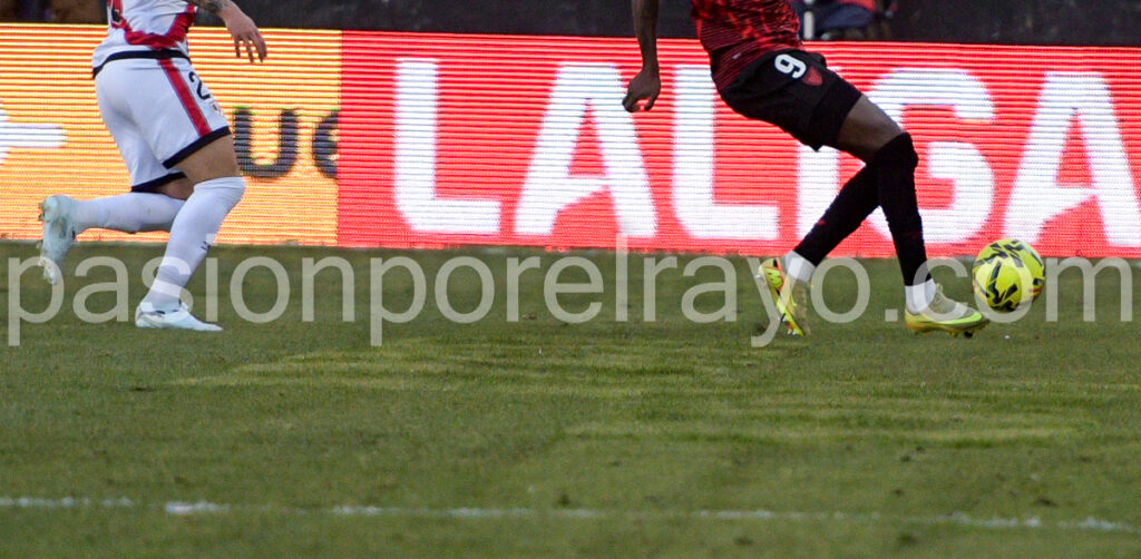 estado del cesped de vallecas