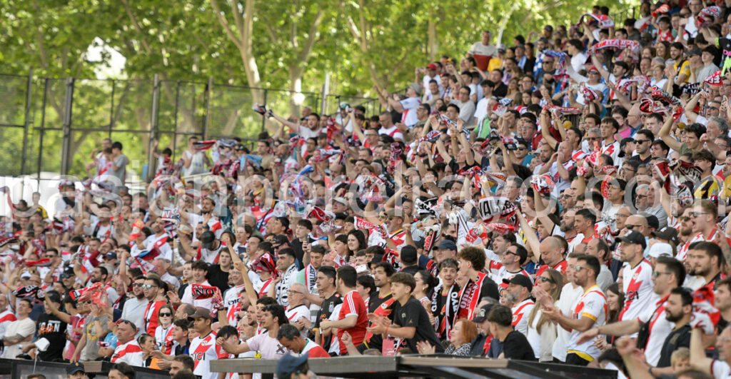 aficion rayo