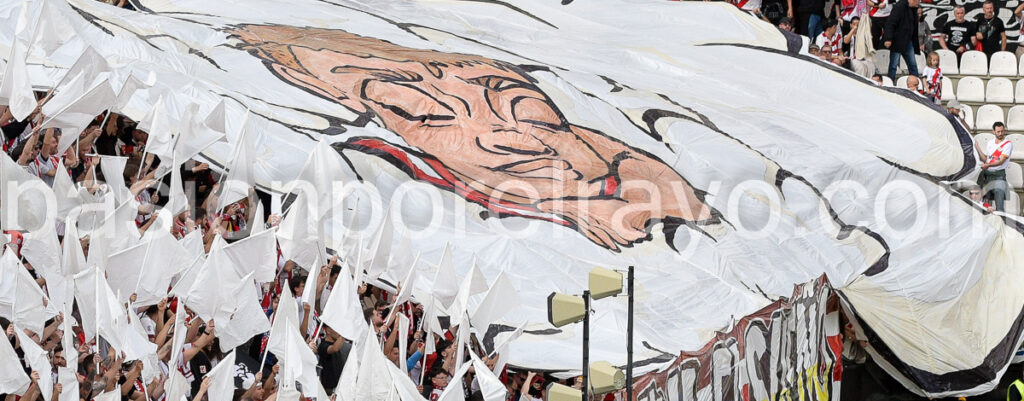tifo rayo