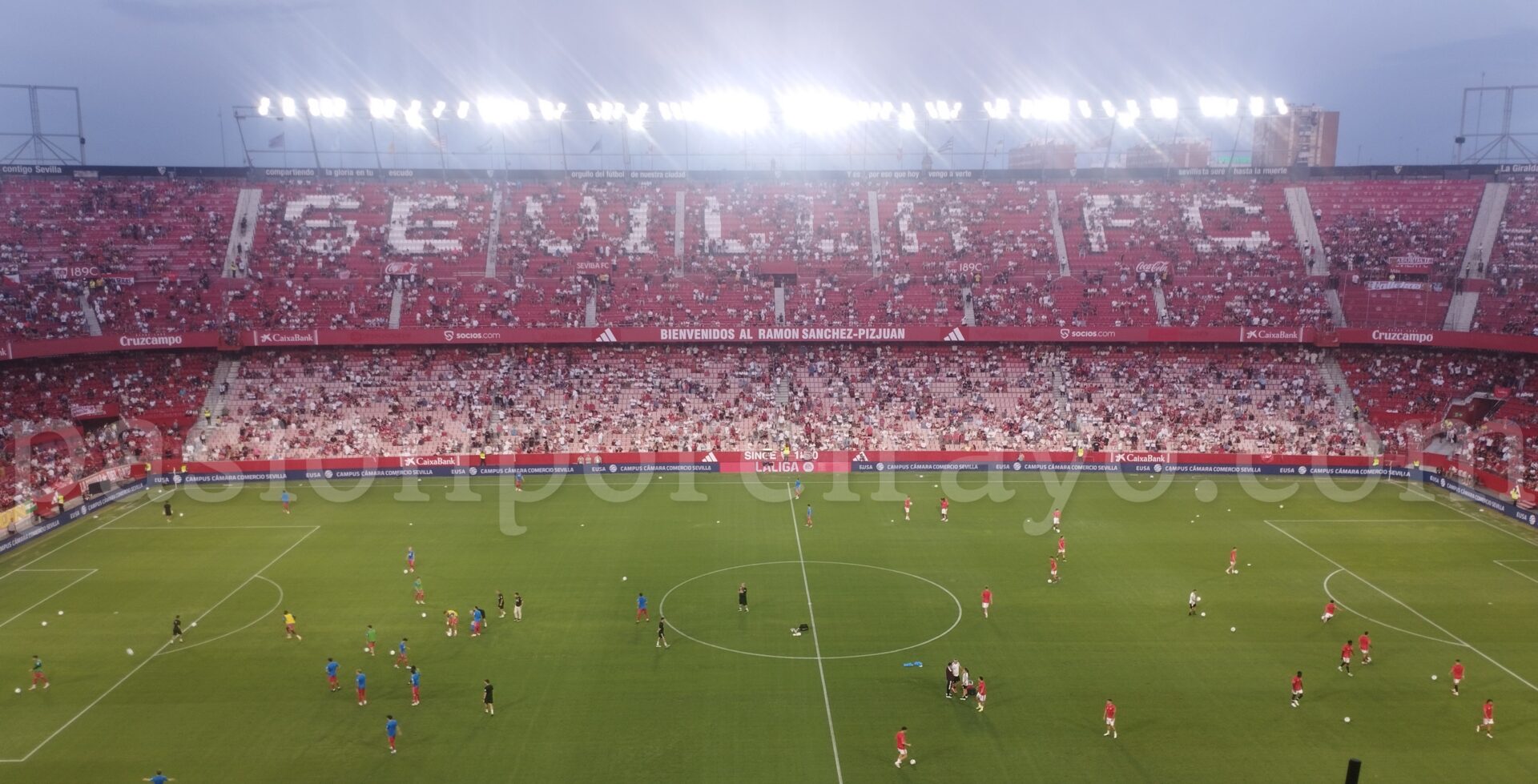 Afición del Rayo en el Estadio Ramón Sánchez Pizjuán en el Sevilla - Rayo